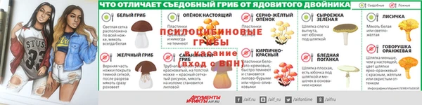 круглые Алзамай