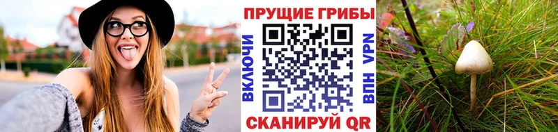 Псилоцибиновые грибы MAGIC MUSHROOMS  закладка  darknet клад  Анапа 